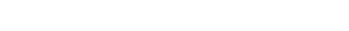 Synapse AI